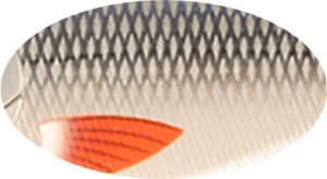 Strike Pro Buster Swimbait S 13cm 65G C384F