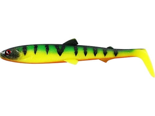 BullTeez Shadtail Tiger Perch.jpg