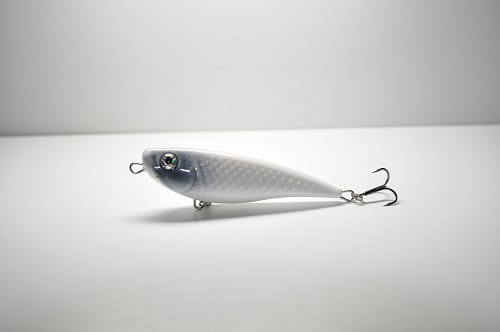 Fat bream 6,5 TPW #Z009.JPG