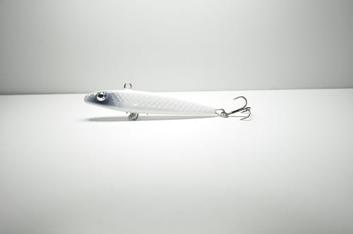 Slim minnow 7 #Z009.JPG