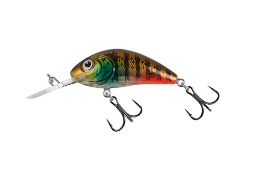 SALMO RATTLIN' HORNET 6,5cm 20g Clear Hot Gill FL.jpg