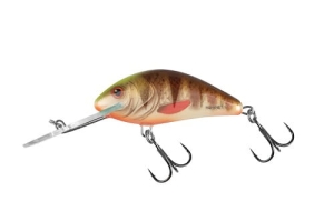 SALMO HORNET 6cm 10g Foltos barna sügér FL