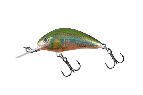 SALMO HORNET 5cm 8g Holo Oikawa.jpg