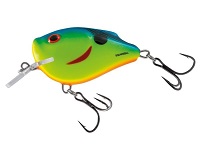 Squarebill