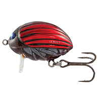 Lil'Bug