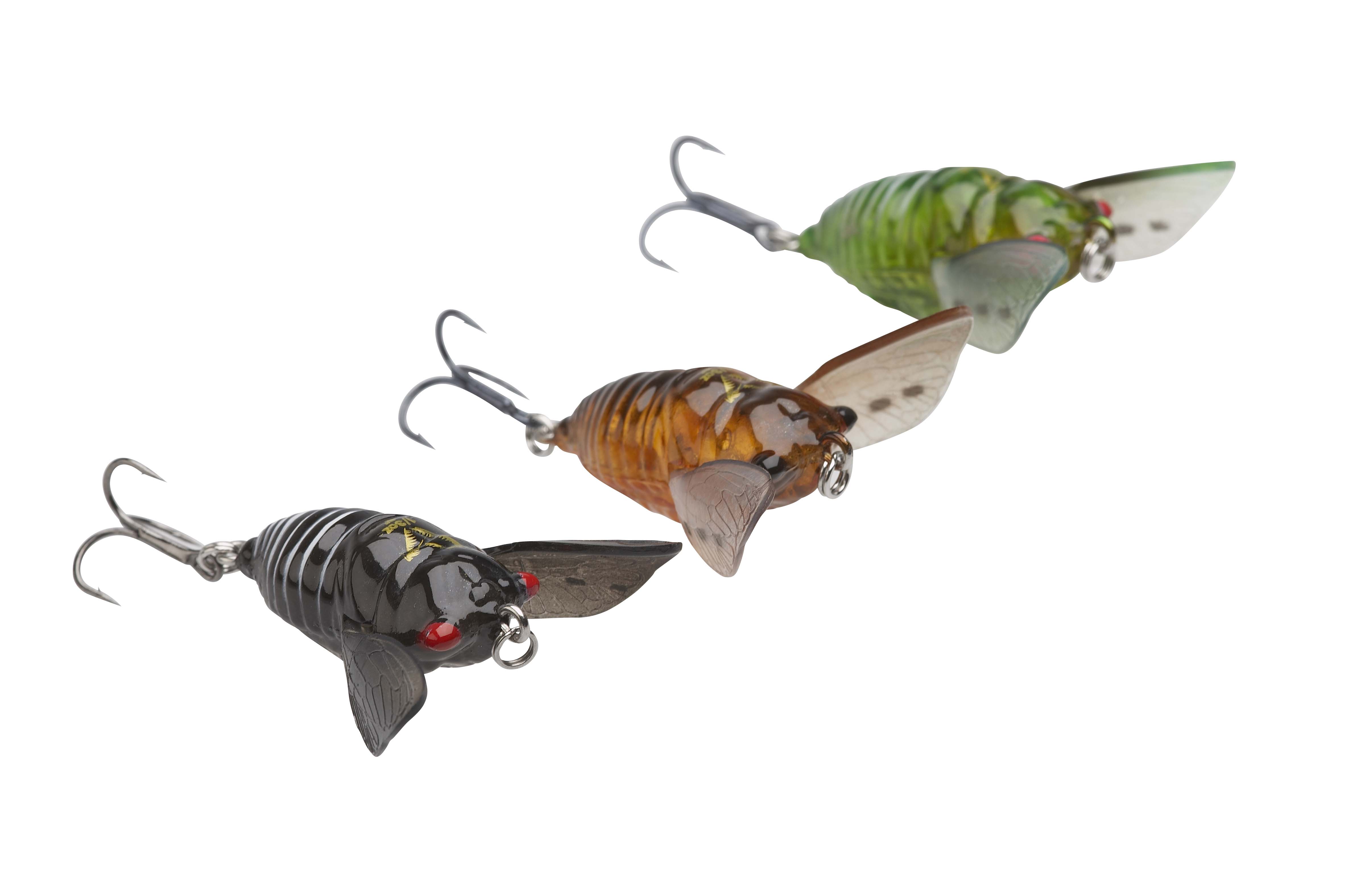 3D Cicada