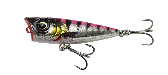 3D Minnow Popper
